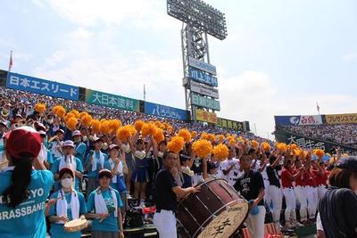 懸命に選手たちに声援を送る３塁側アルプス席　IMG_8950.JPG
